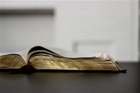 Open Bible on Dark Table photo