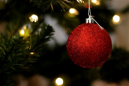 Red Ball Ornament Hanging on Christmas Tree photo