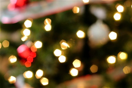 Bokeh of Christmas Tree Lights & Ornaments photo