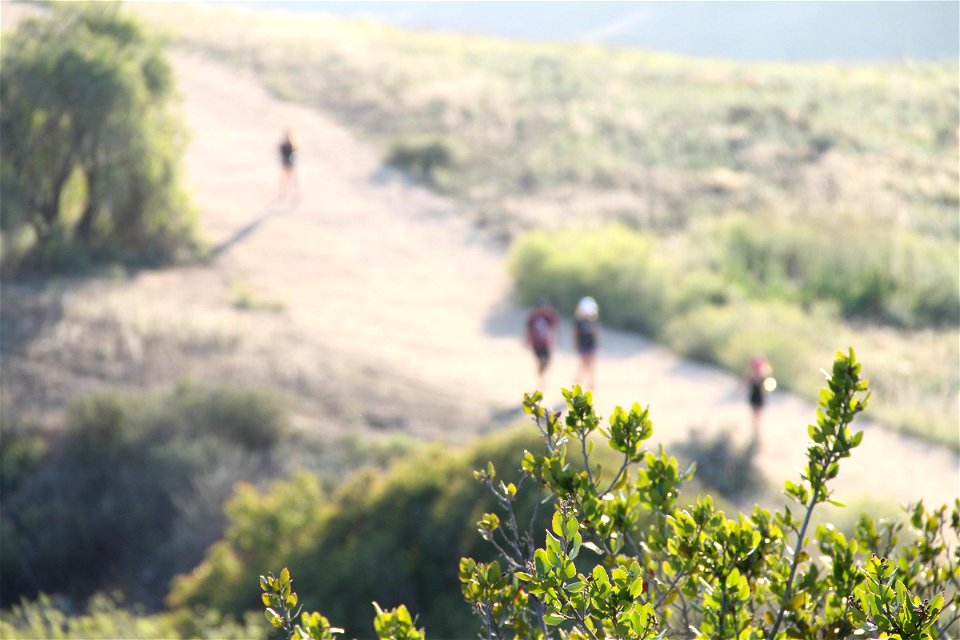 Leaves on a Branch & People Walking on Trail