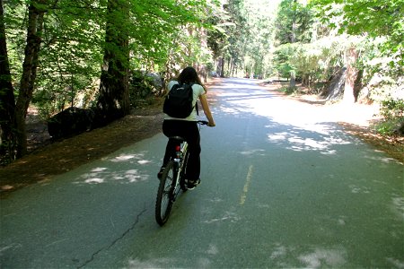 Girl Riding Bicycle on Forest Path photo