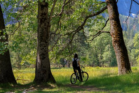 Woman on Bike in Field by Trees photo