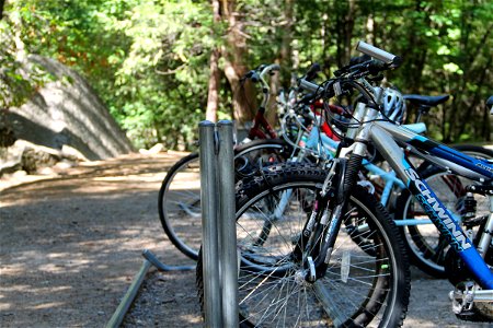 Bicycles on a Bike Rack in the Forest photo