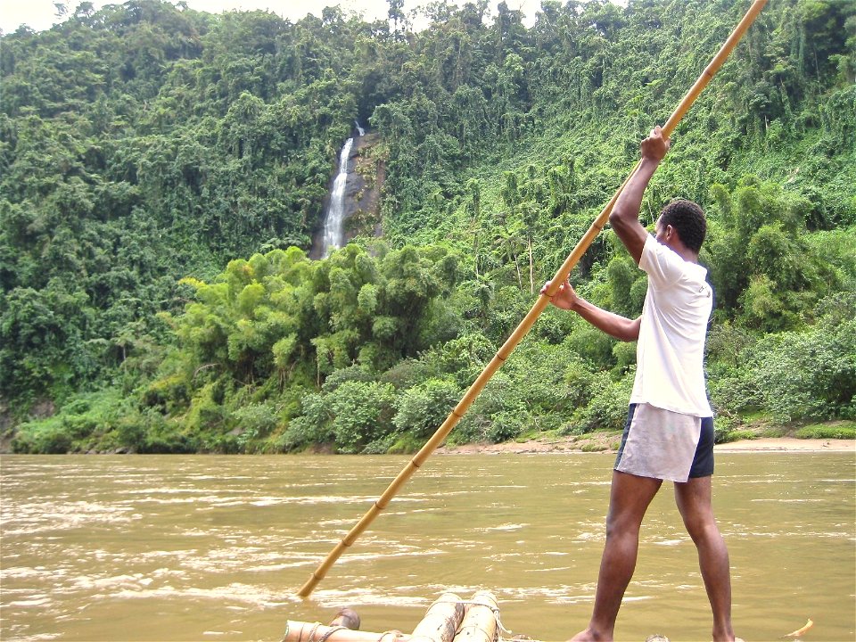 Man on Raft in a River Through the Jungle photo