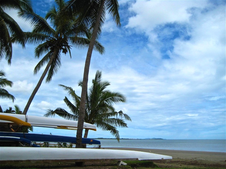 Palm Trees & Canoes on Beach photo