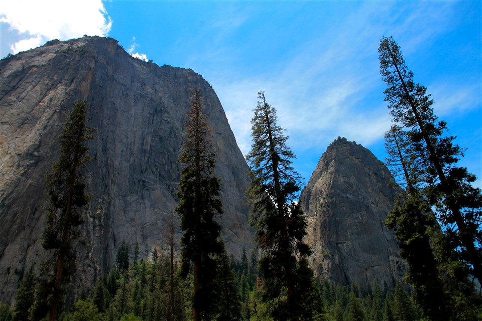 Tall Trees in Front of Rock Mountain photo