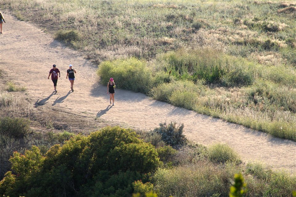People Walking on Dirt Trail