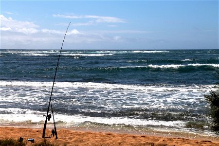 Fishing Pole on Beach at Ocean photo