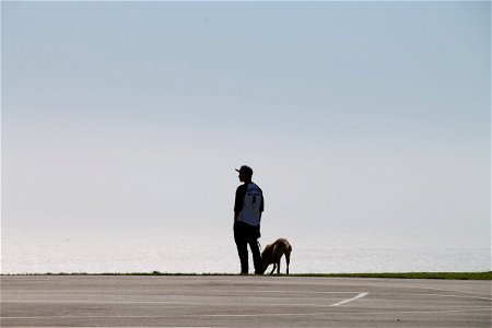 Silhouette of Man with Dog photo