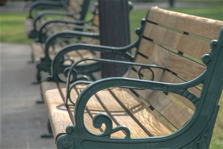 Wooden Benches in a Row photo