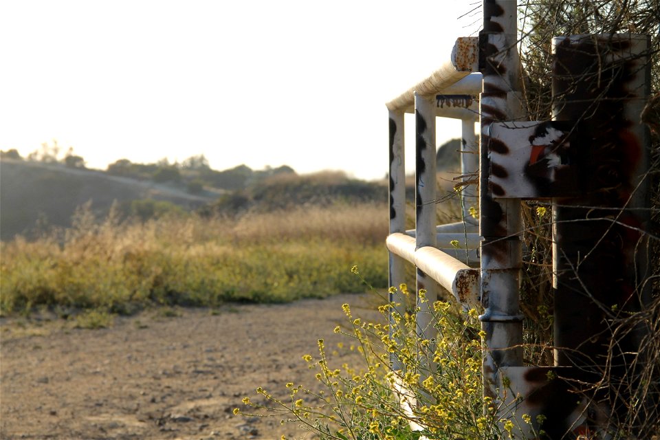 White Rusted Gate in Wilderness