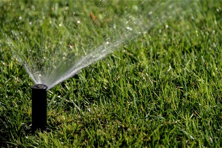 Sprinkler Watering Green Grass photo