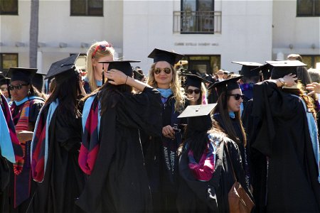 Group of College Graduates in Gowns photo