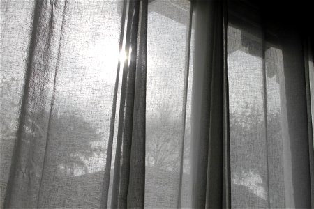 Sun Shining Through Thin Curtains photo