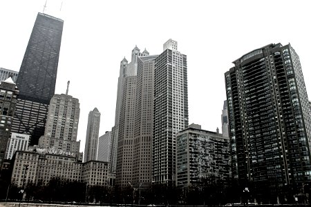 Tall Skyscraper Buildings with Bare Trees at Base Against Overcast Sky photo