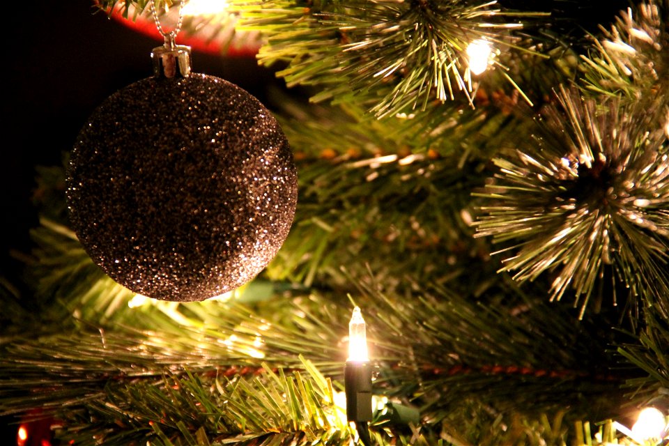 Close Up of Christmas Tree with Silver Ball Ornament