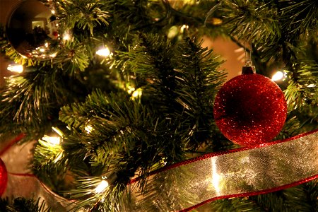 Close Up of Christmas Tree with Red Ball Ornament photo