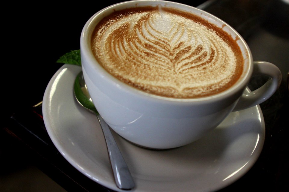 Leaf Latte Art in a White Mug on a Dish