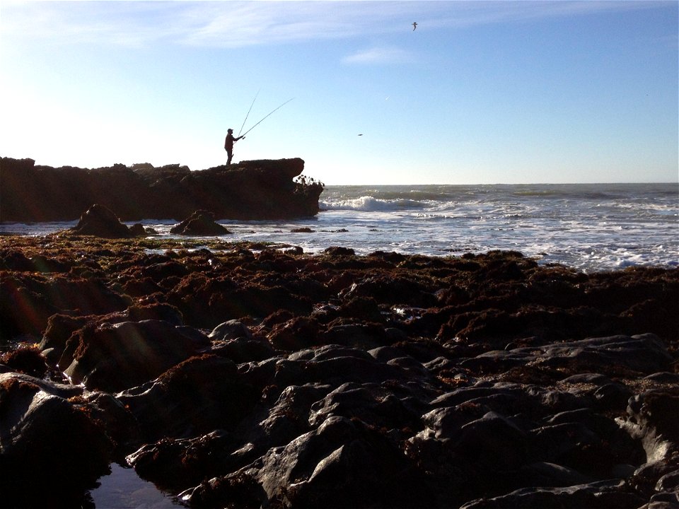 Fisherman on Rocky Ocean Shore