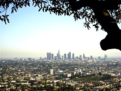 Downtown in Distance Under Tree Branch photo