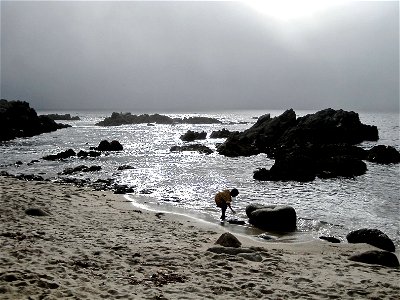 Silhouette of Boy on Rocky Beach photo
