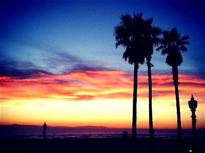 Silhouette of Palm Trees on Colorful Sky photo