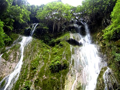Waterfalls Over Lush Jungle Tree Tops photo