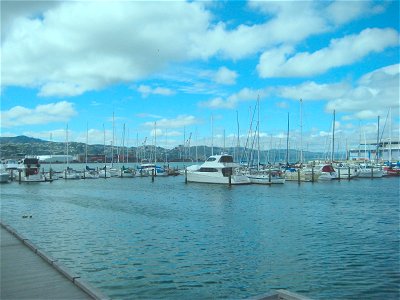 Boats in the Harbor photo