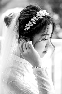 HDS_2332 bw