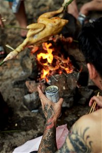 HDS_7667