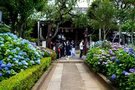DSC08626