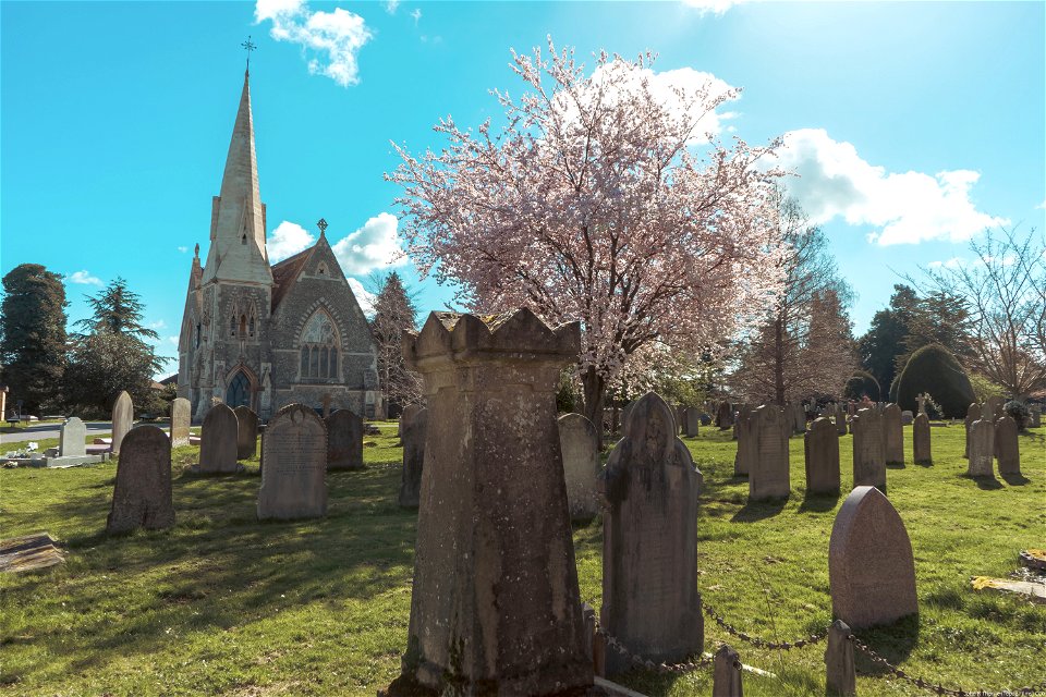 Maidstone Cemetery Chapel and Blossom Tree
