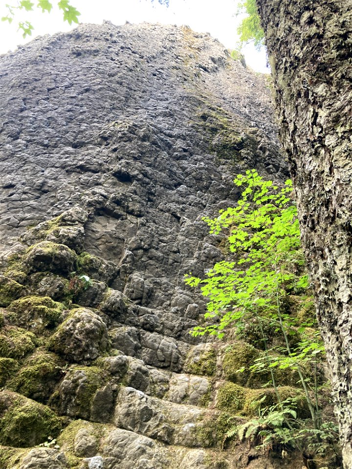 20210917-MtHood-French's Dome climbing site photo