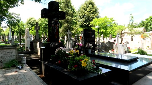 Bellu_cemetery (7) photo