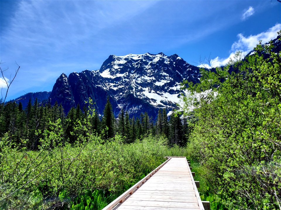 Big Four Mountain from the loop trail boardwalk, Mt. Baker-Snoqualmie National Forest. Photo by Anne Vassar May 26, 2021. photo
