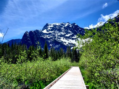 Big Four Mountain from the loop trail boardwalk, Mt. Baker-Snoqualmie National Forest. Photo by Anne Vassar May 26, 2021. photo