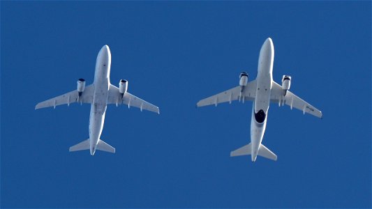 Zweimal Airbus A319: photo
