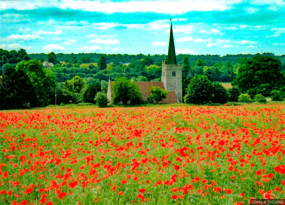 Church in The Poppy Fields