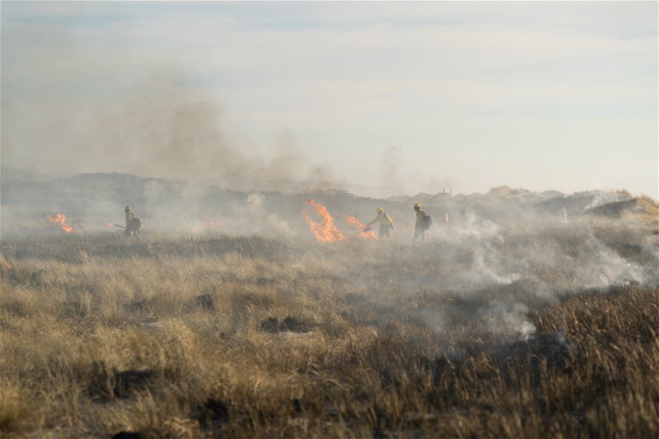 Siuslaw Oregon Dunes Prescribed Burn 2022