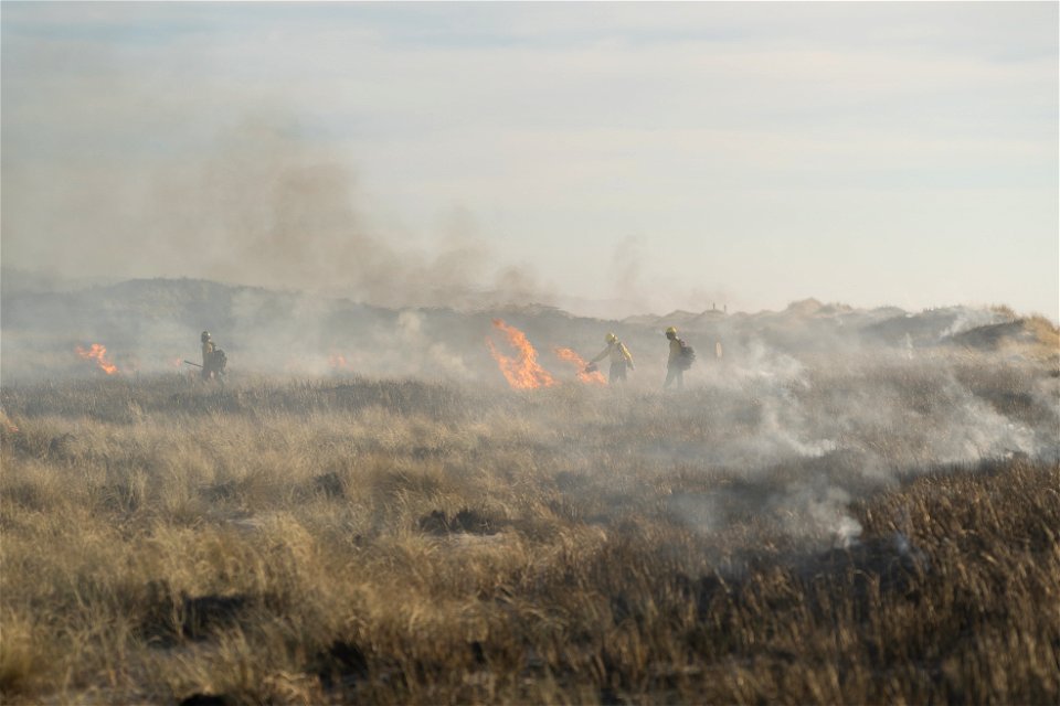 Siuslaw Oregon Dunes Prescribed Burn 2022 photo