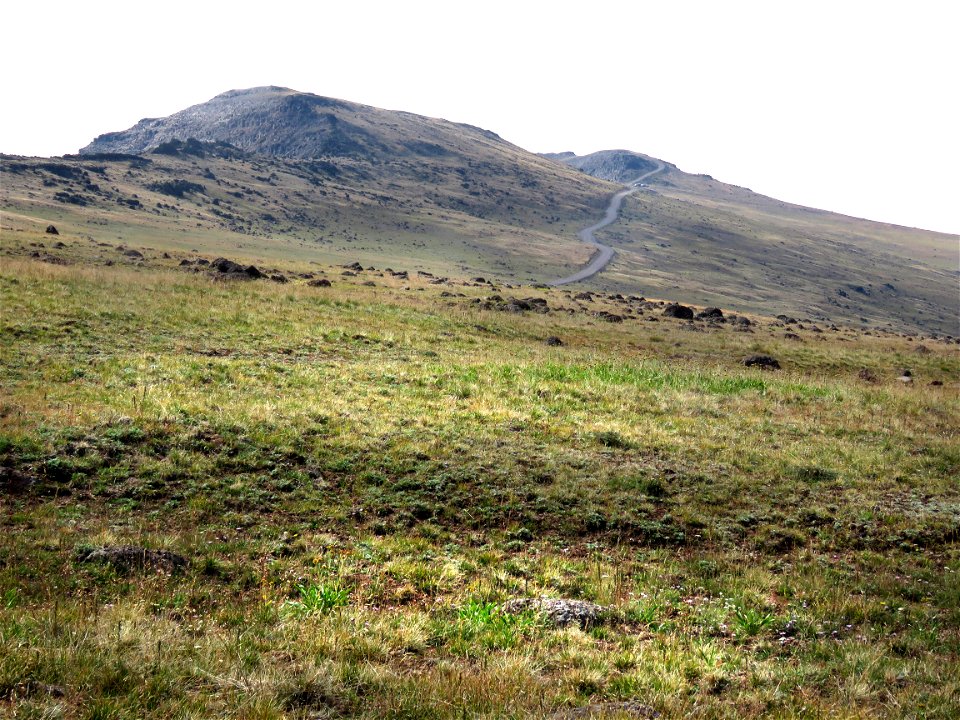 3004 - STEEN'S MT, road and meadows near top (8-3-2021) 9000-9600 ft, harney co, or -01 photo