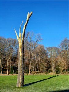 Museum Voorlinden, Giuseppe Penone