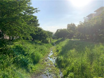 Kurome River inShinyama Waterside Plaza, Higashikurume-shi photo