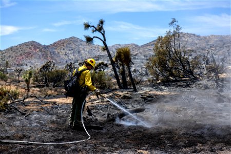 A Firefighter Putting out Hot Spots in a Burned Area of the Elk Fire