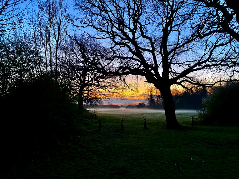 Dawn on the Parklands photo