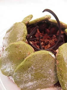 Autumn fruit mont blanc