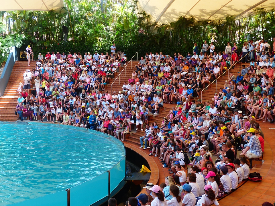 Arena water basin demonstration