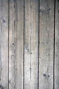 Wood texture photo