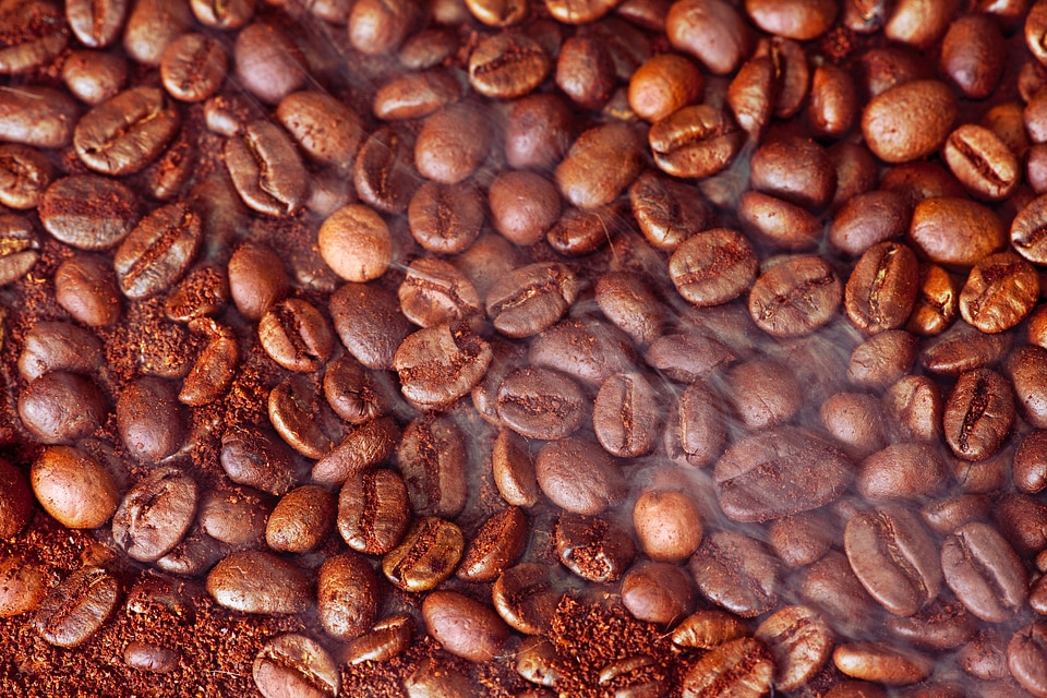 Coffee