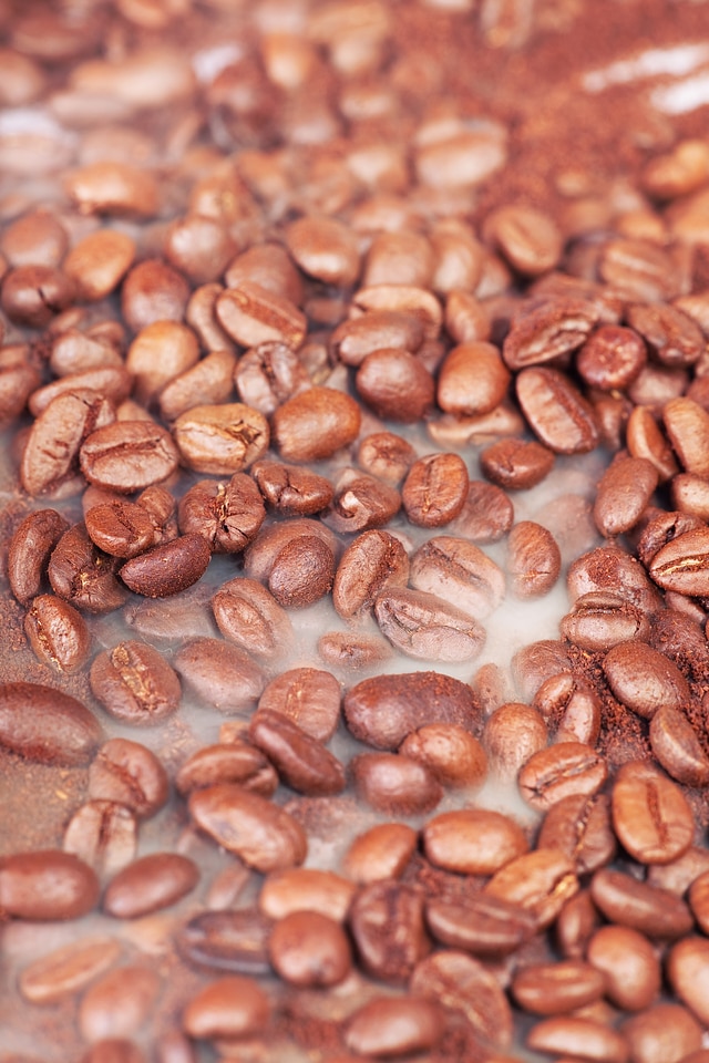 Coffee